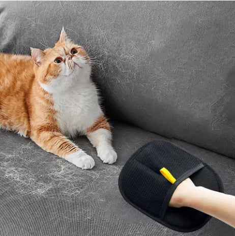 Pet Hair Spray Brush for Cats & Dogs